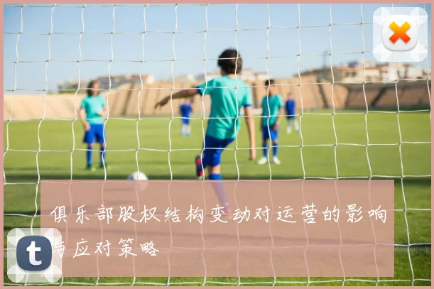 俱乐部股权结构变动对运营的影响与应对策略