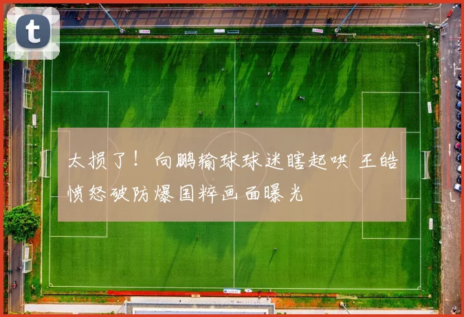 太损了！向鹏输球球迷瞎起哄 王皓愤怒破防爆国粹画面曝光